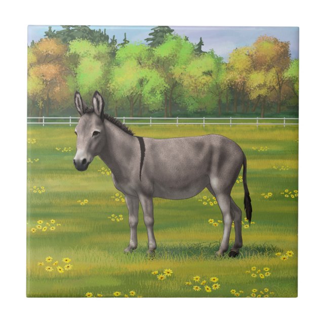 Cute Donkey Grey Burro In Pasture Ceramic Tile (Front)