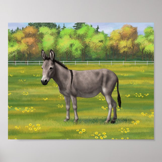 Cute Donkey Grey Burro In Pasture Poster (Front)