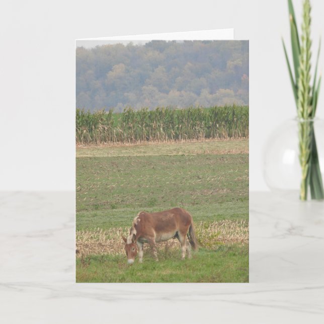 Cute Donkey in a Country Field Card (Front)