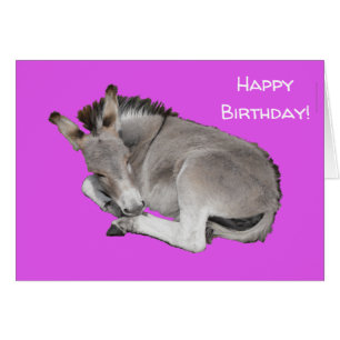 Cute Donkey on Purple