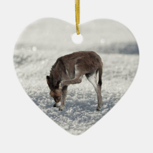 Cute Donkey Standing in Snow Ceramic Ornament