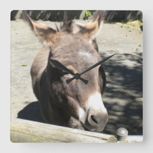 Cute Donkey Wall Clock
