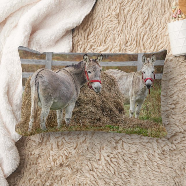Cute Donkeys Lumbar Cushion (Blanket)