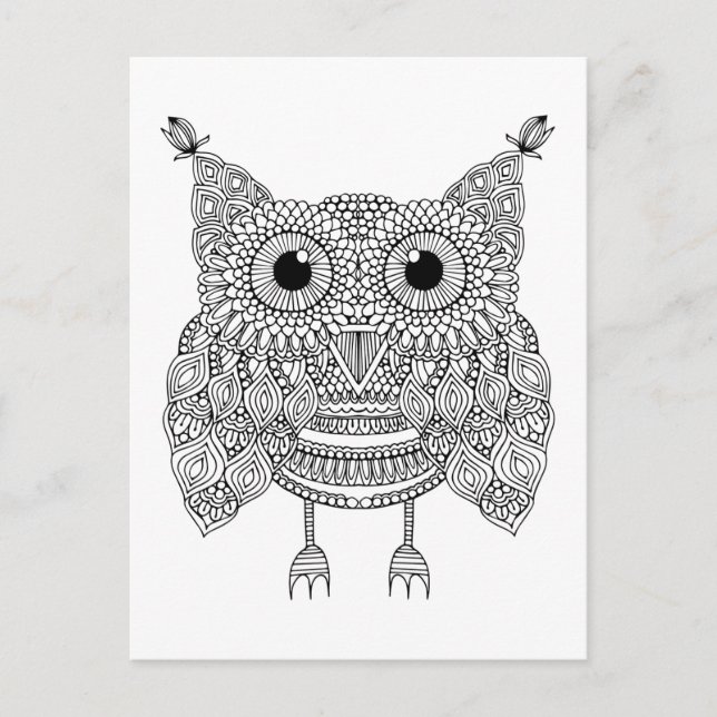 Cute Doodle Owl Postcard (Front)