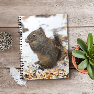 Cute Douglas Squirrel Enjoying a Winter Feast Notebook
