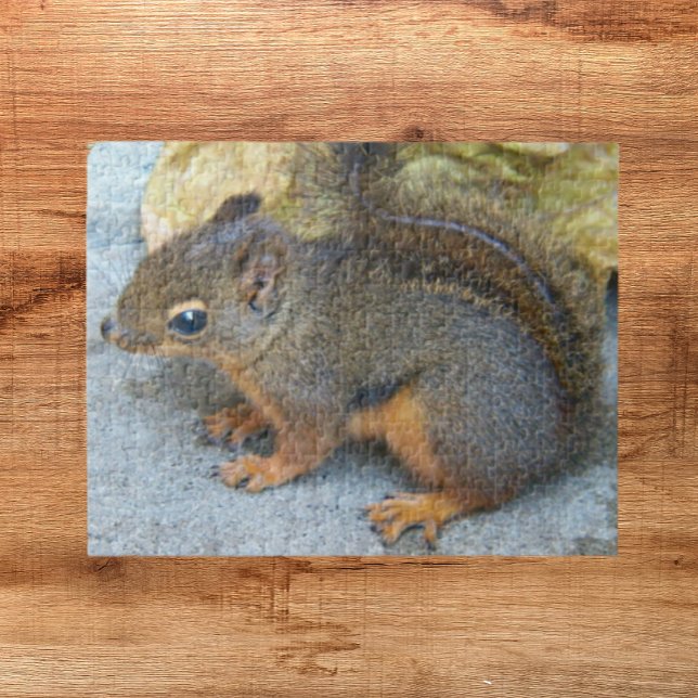 Cute Douglas Squirrel Nature Jigsaw Puzzle (In Situ)