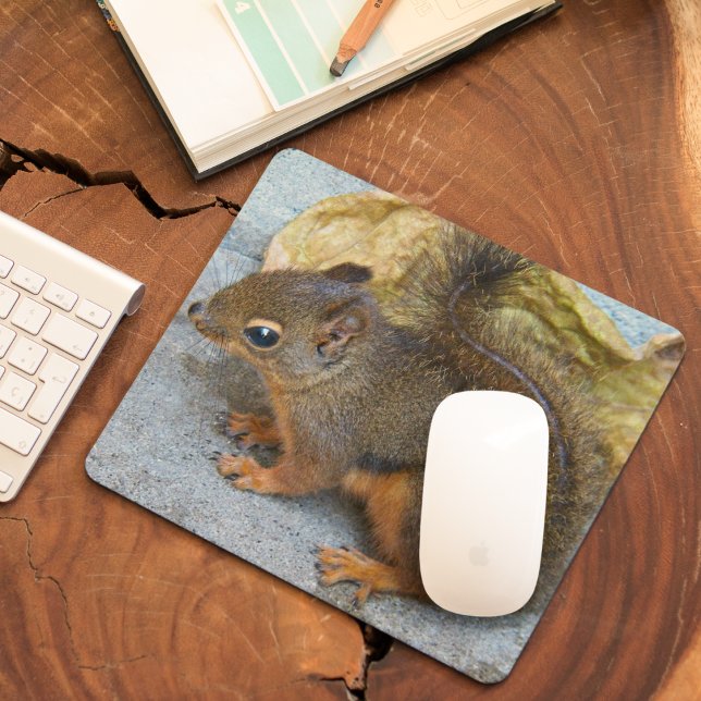 Cute Douglas Squirrel Nature Photo Mouse Pad (In Situ)