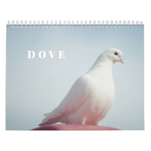 Cute Dove White Pigeon Love & Peace Symbol Bird Calendar
