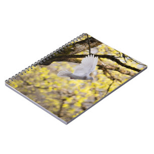 Cute Dove White Pigeon Love & Peace Symbol Bird  Notebook
