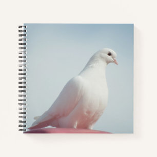 Cute Dove White Pigeon Love & Peace Symbol Bird  Notebook