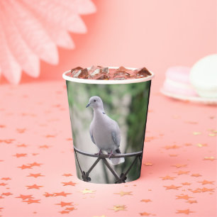 Cute Dove White Pigeon Love & Peace Symbol Bird Paper Cups