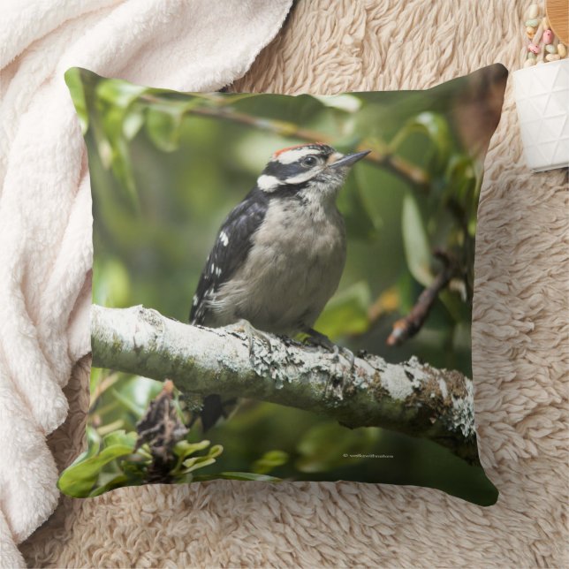 Cute Downy Woodpecker Bird in Pear Tree Cushion (Blanket)