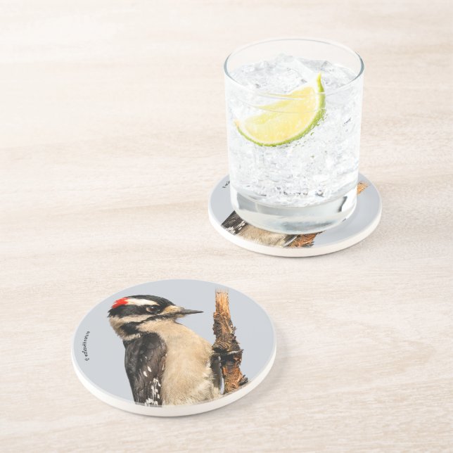 Cute Downy Woodpecker on Fruit Tree Coaster (Side)