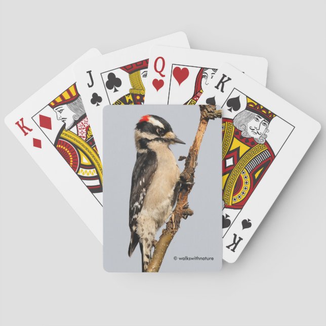 Cute Downy Woodpecker on Fruit Tree Playing Cards (Back)