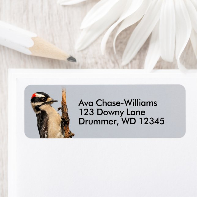 Cute Downy Woodpecker on Fruit Tree Return Address Label (Insitu)