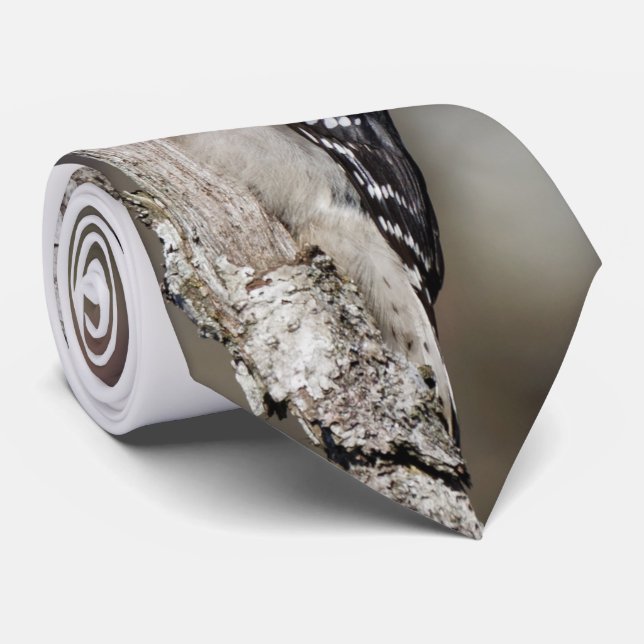 Cute Downy Woodpecker on the Tree Tie (Rolled)