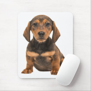 Cute Doxin Wiener Puppy Dog Lover Gift Dachshund Mouse Pad