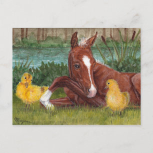 Cute duck chick & foal postcard