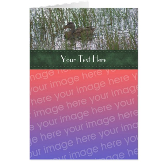 Cute Duck In Pond Nature Your Photo Card (Front)