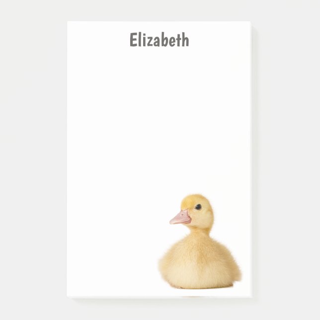 Cute Duck Personalised Name Post-it Notes (Front)
