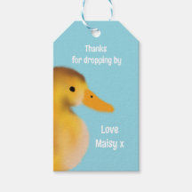 Cute Duckling Favour