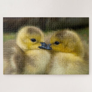 Cute ducklings photo jigsaw puzzle