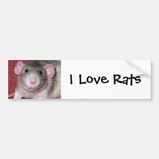 Cute Dumbo Rat Bumper Sticker (Front)