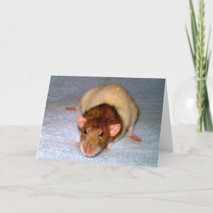 Cute Dumbo Rat Greeting Card