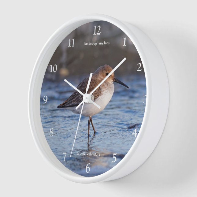 Cute Dunlin Shorebird Wandering the Winter Beach Wall Clock (Angle)