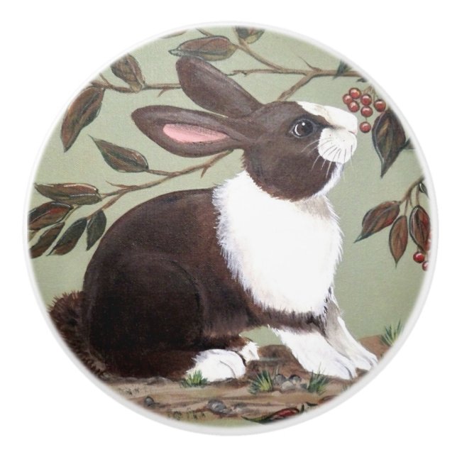 Cute Dutch Rabbit Bunny Sage Woodland Animal  Ceramic Knob (Front)