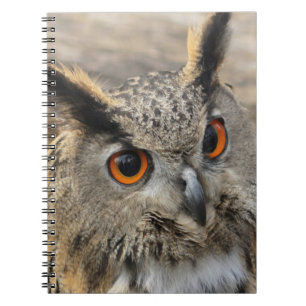 Cute eagle owl photography notebook