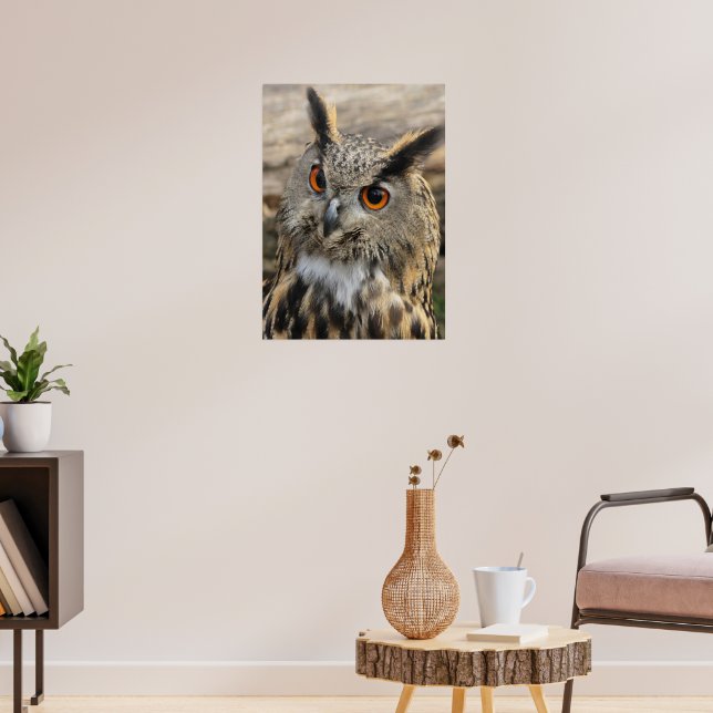 Cute eagle owl - wildlife photography poster (Living Room 3)