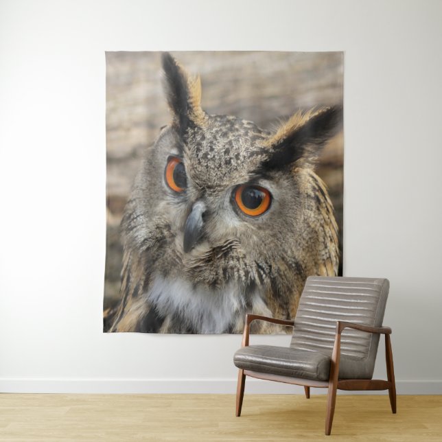 Cute eagle owl wildlife photography tapestry (In Situ)