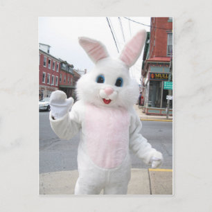 Cute Easter Bunny Animal Peace Love Destiny Holiday Postcard