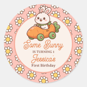 Cute Easter Bunny Baby Girl 1st Birthday Party Classic Round Sticker