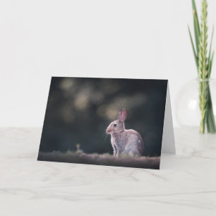 Cute Easter Bunny Nature Photo Card
