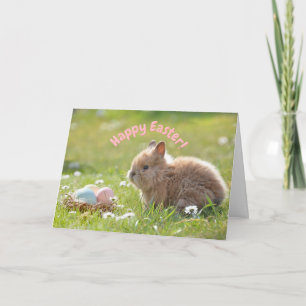Cute Easter Bunny with Painted Eggs   Card