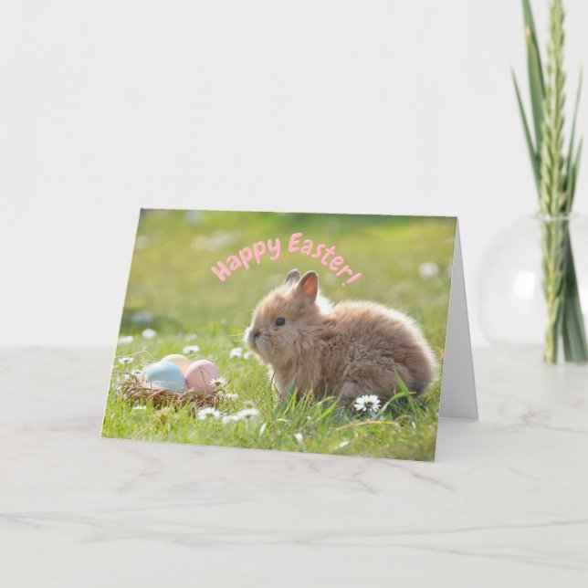 Cute Easter Bunny with Painted Eggs   Card (Front)