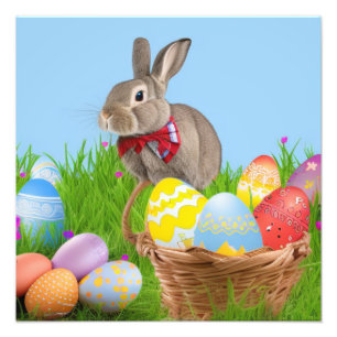 Cute Easter Bunnyfor a positive mood Photo Print