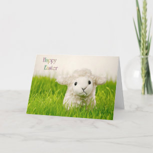 Cute Easter Lamb Greeting Card