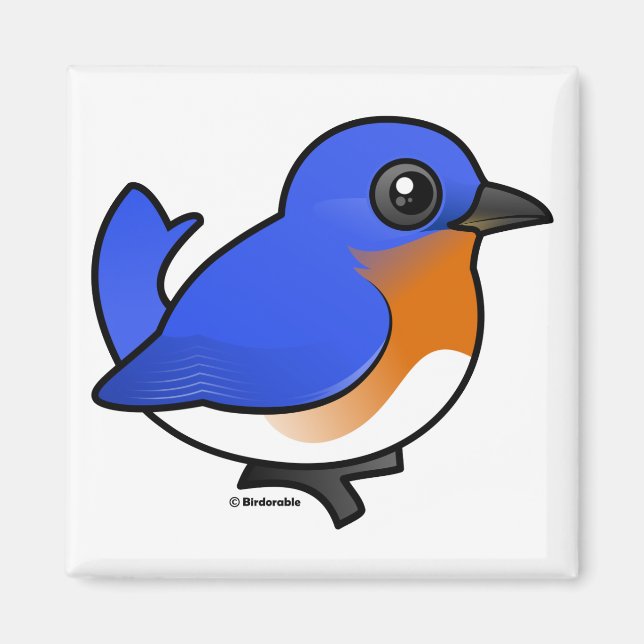 Cute Eastern Bluebird Magnet (Front)