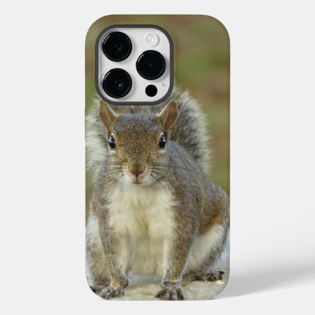 Cute Eastern grey squirrel close-up  Case-Mate iPhone Case (Back)