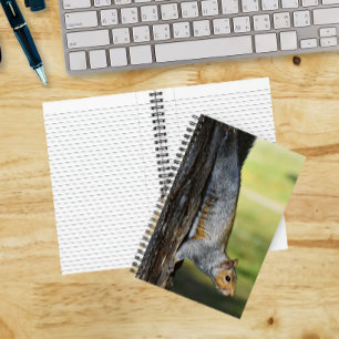 Cute Eastern Grey Squirrel Nature Photo Notebook