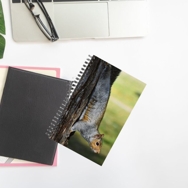 Cute Eastern Grey Squirrel Nature Photo Notebook (In Situ)