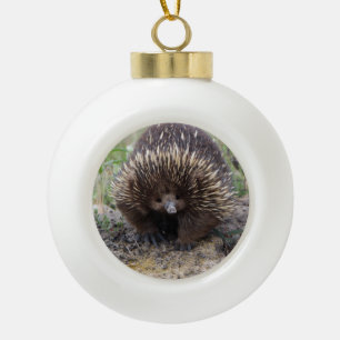 Cute Echidna from Australia Ceramic Ball Christmas Ornament