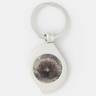 Cute Echidna from Australia Key Ring