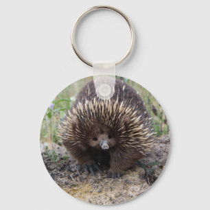 Cute Echidna from Australia Key Ring