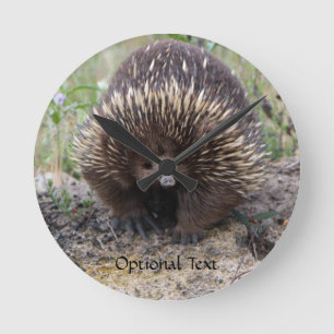 Cute Echidna from Australia Round Clock