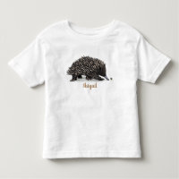Cute echidna with bee cartoon illustration