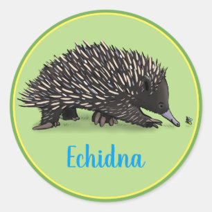 Cute echidna with bug cartoon classic round sticker